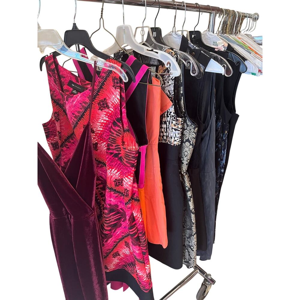 10 Pc Women’s Designer Dress Lot Mixed Sizes Tahari Vivienne Tam Three Floor